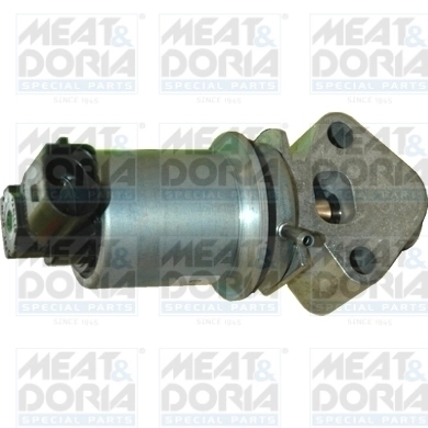 EGR Valve
